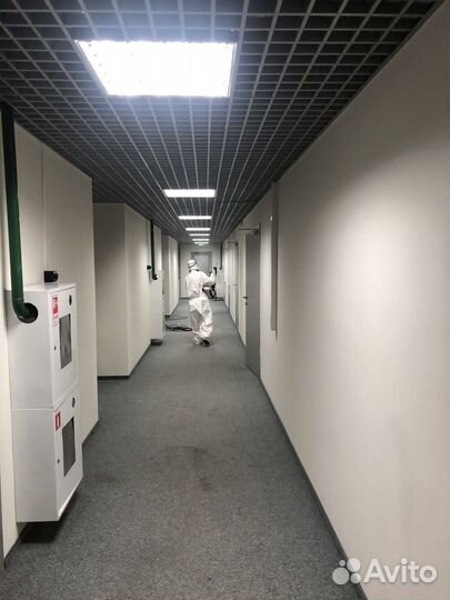 Дезинфекция, дезинсекция, дератизация