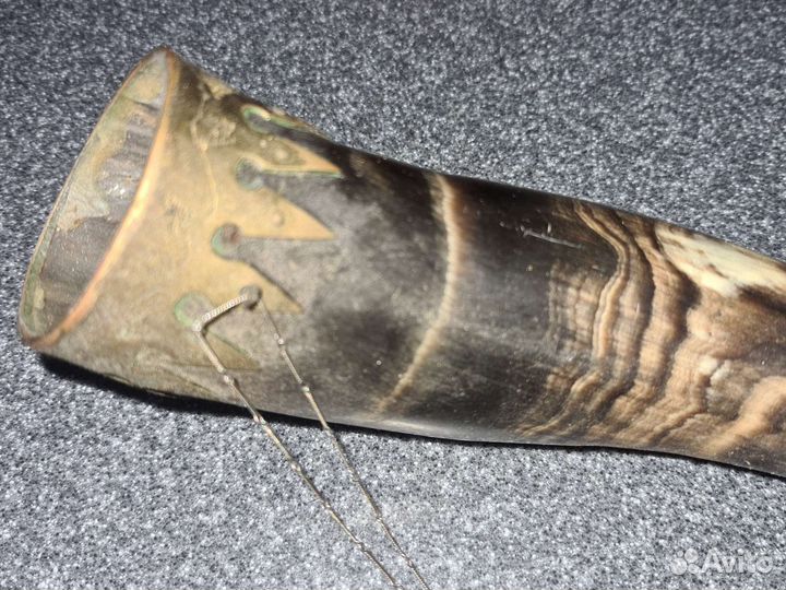 Рог декоративный