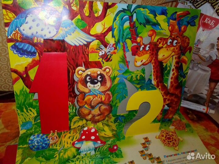 Пенал и счёты