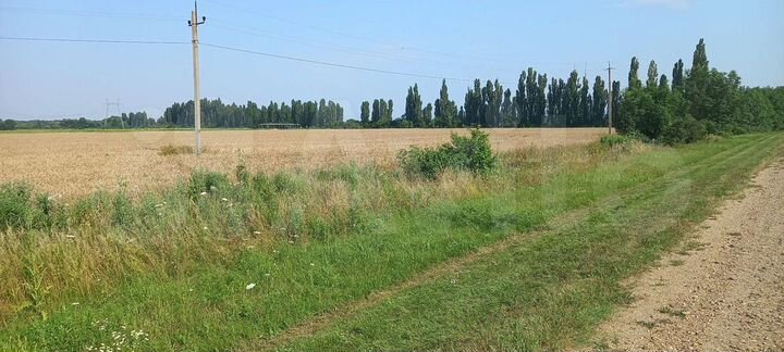 Участок 9,96 га (СНТ, ДНП)