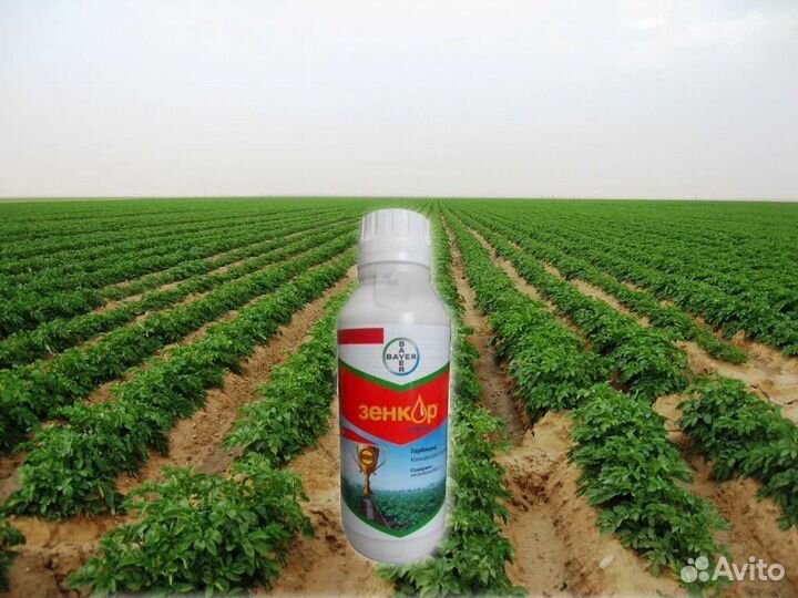 На картофель гербициды, инсектициды, фунгициды