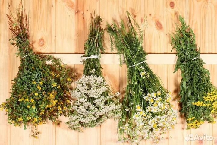 Донник трава для бани сухая опт склад в Челябинске