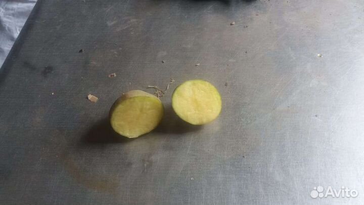 Картофель молодой на корм с/х животным (Китай)