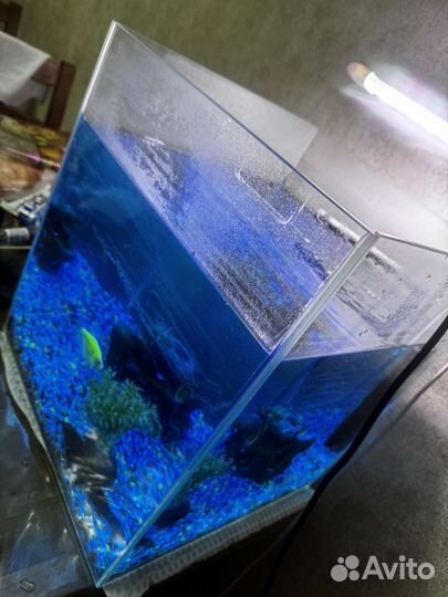 Аквариум с рыбками