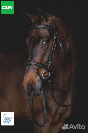 Уздечка Grand prix от Utzon - Черный