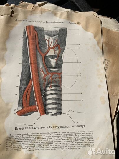 Старинный журнал женщина домашний врач