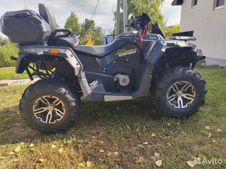 Стелс гепард 650