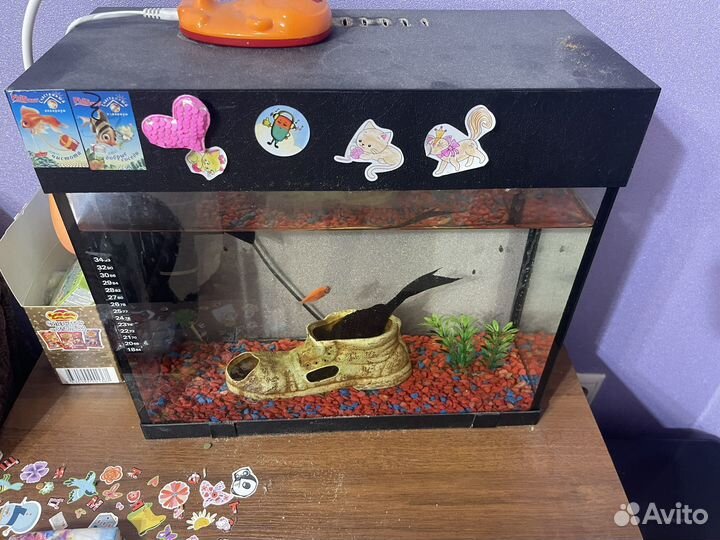Аквариум с рыбками бу