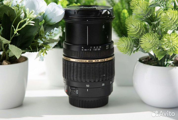 Tamron 17-50 mm F2.8 (Canon EF-S)