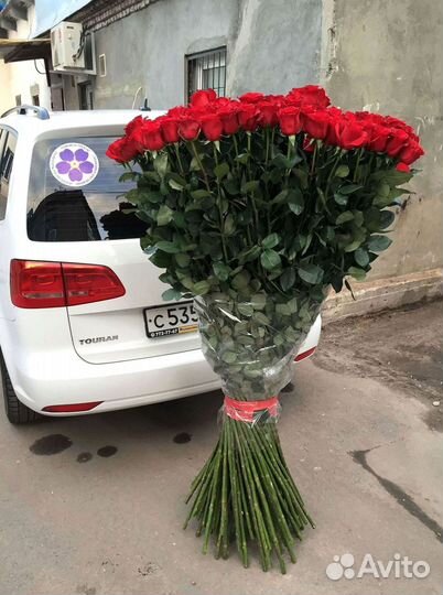 Высокие розы Гигантские розы Доставка цветов