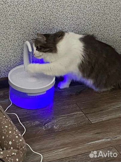 Автоматическая поилка для кошек и собак