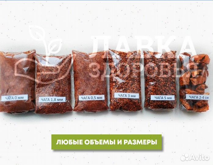 Чага сушеная опт. Любые объемы и виды