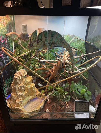 Террариум Repti Zoo готовый