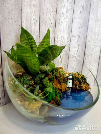 Композиция 