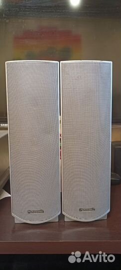 Колонки Panasonic SB-FS15