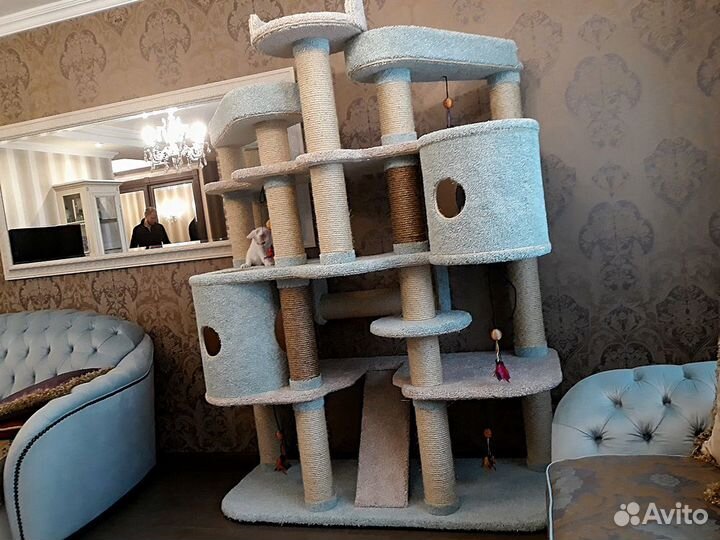 Когтеточка,комплекс для кошки