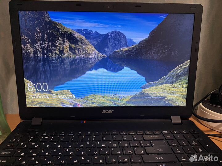 Acer extensa