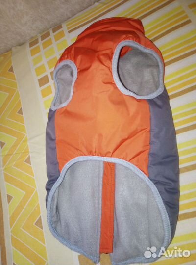 Жилетка для собак