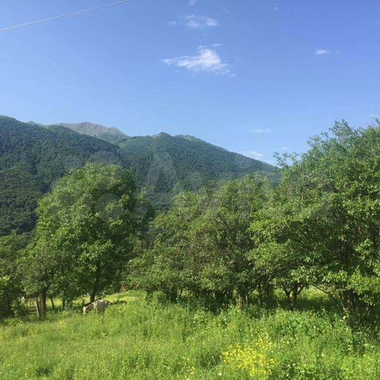 Участок 80 сот. (ИЖС)