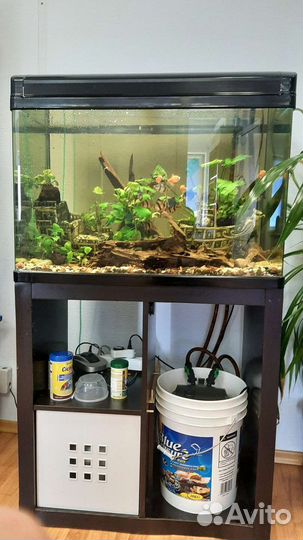 Аквариум с тумбой
