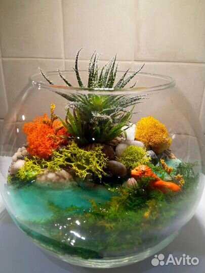 Флорариум подарок