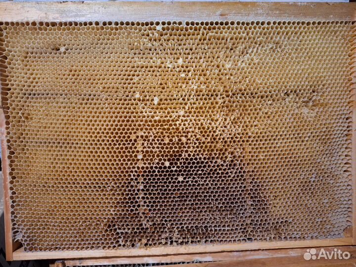 Сушь для пчёл на рамках Дадан