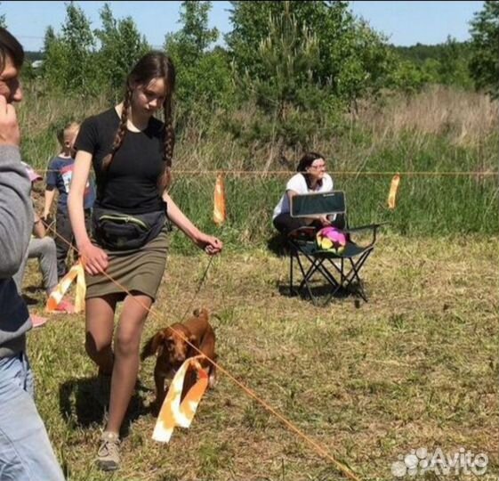 Услуги хендлера