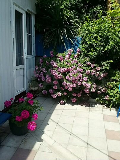 Комната 14 м² в 1-к., 1/1 эт.