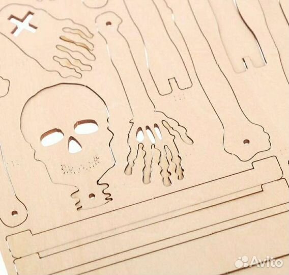 Набор для изучения строения человека