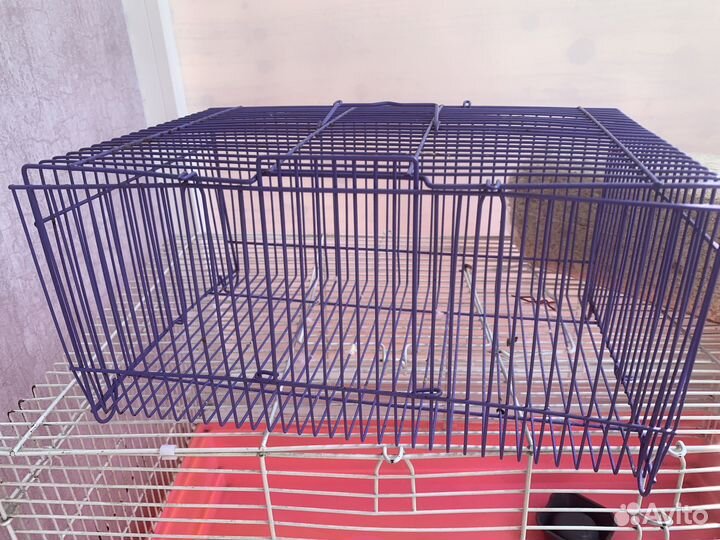 Товары для грызунов