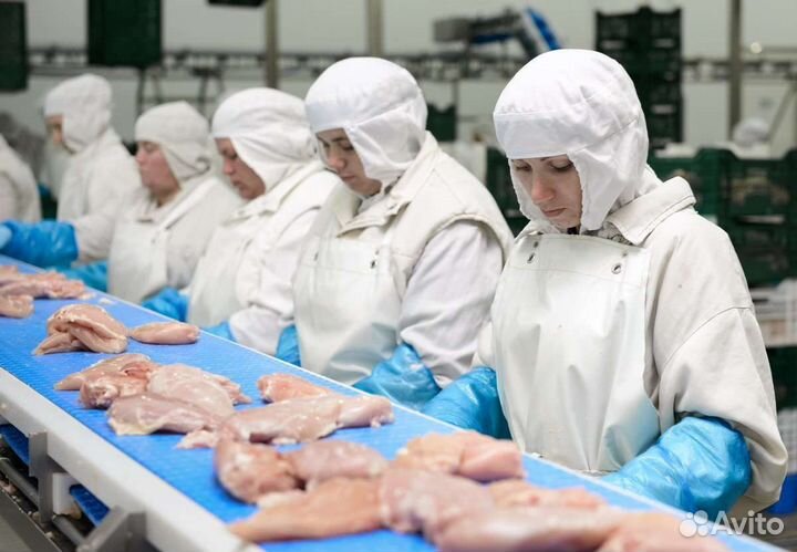 Вахтовая работа на птицефабрике. Питание. Пермь