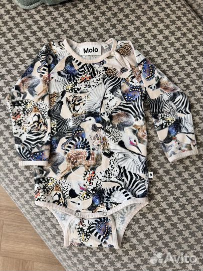 Боди molo
