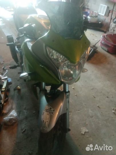 Racer250cs sport