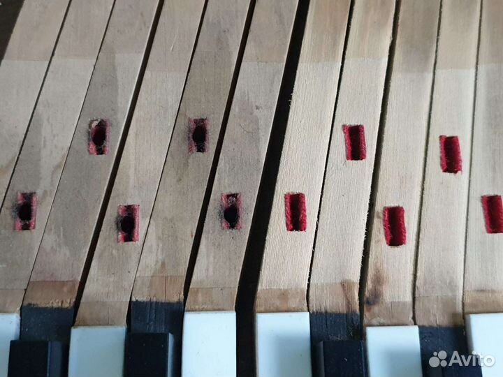 Настройка фортепиано, ремонт