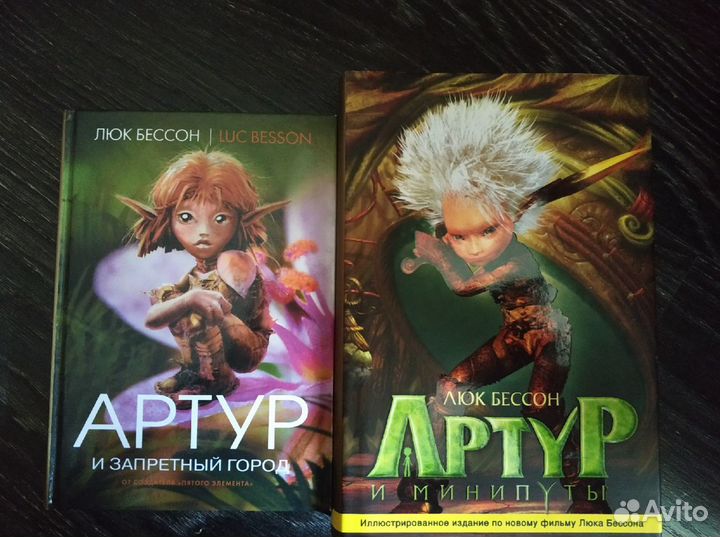 Книги Артур и минипуты, Артур и запретный город