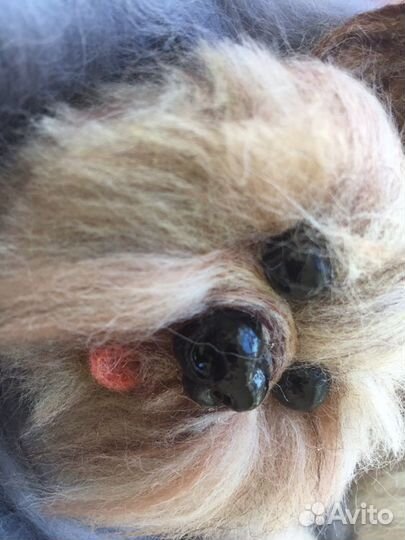 Брошь собака