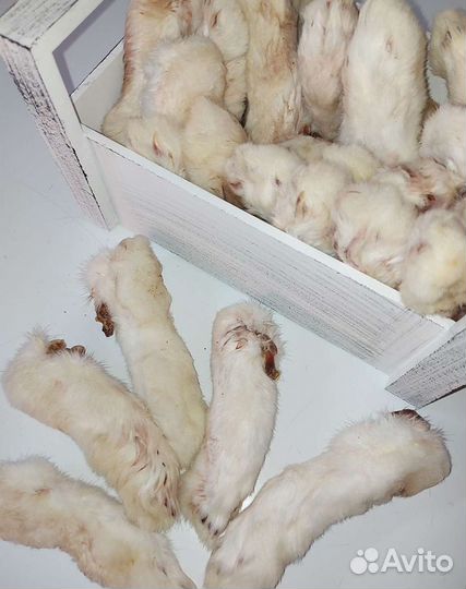 Натуральные лакомства для собак,кошек, грызунов