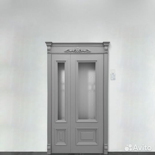 Двери дизайнерские v-8741
