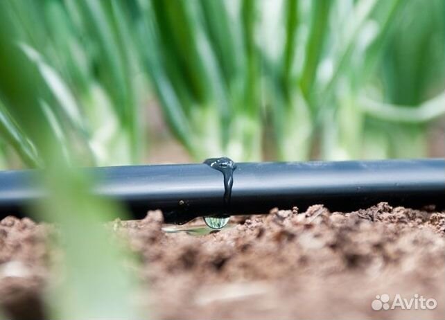 Капельный полив 