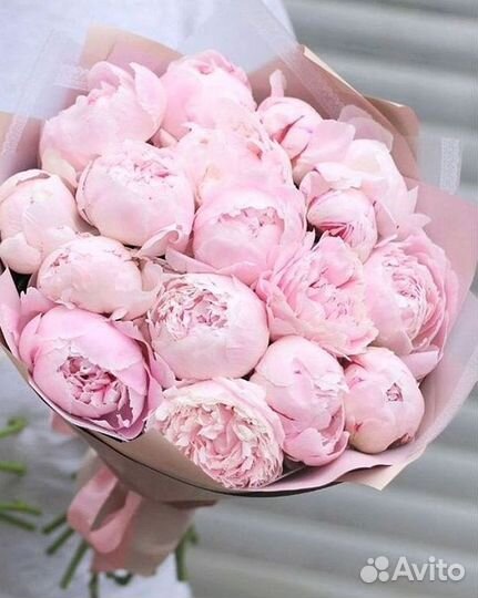 Пионы Букеты Цветы Доставка