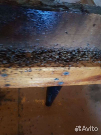 Дезинфекция от клопов тараканов блох