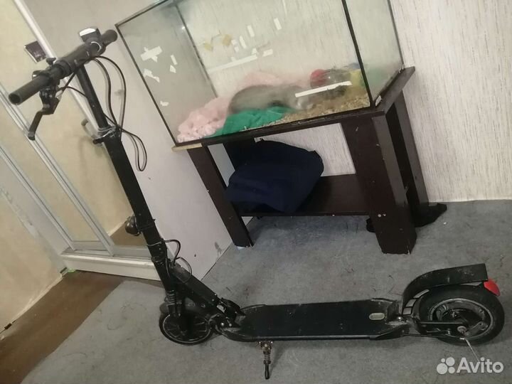 Электросамокат