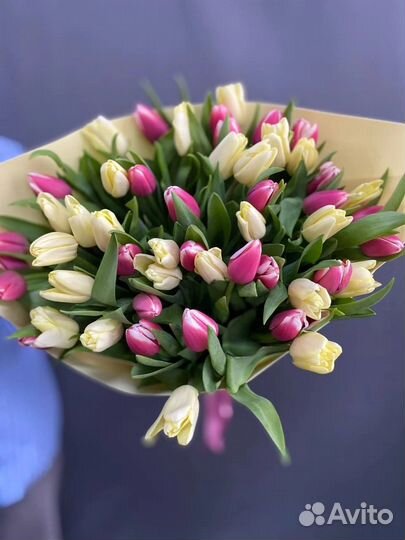 Букет из 51 тюльпана