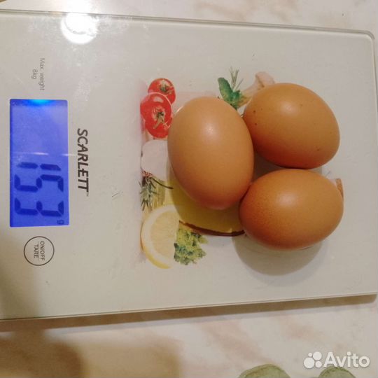 Домашние куриные яйца