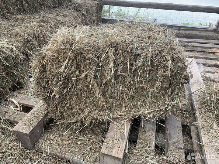 Сено в тюках