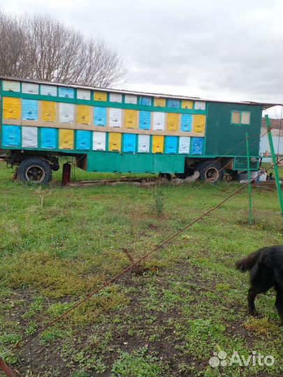 Пчелоприцеп