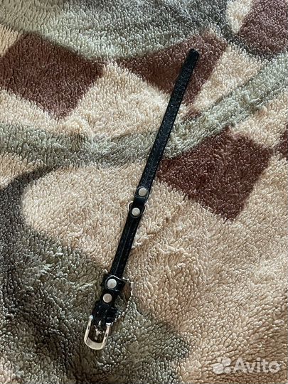 Ошейник для маленьких собак