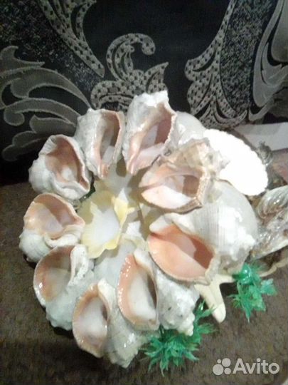 Инсталляция из ракушек для интерьера