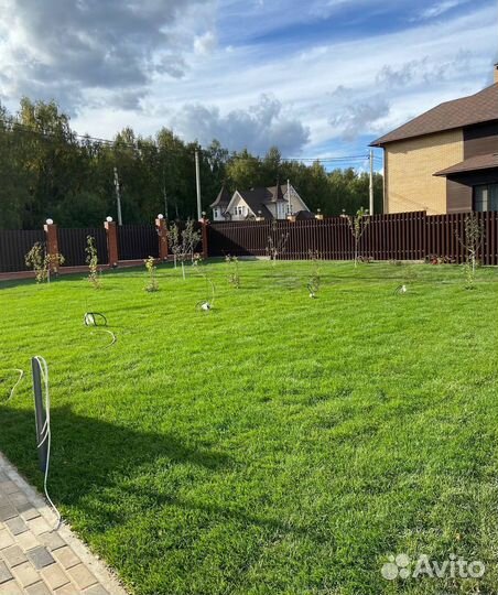 Рулонный газон / под ключ