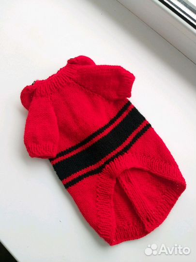 Одежда для собак